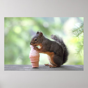 Squirrel Eating an Ice Cream Cone Poster