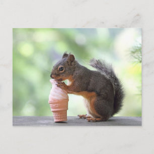 Squirrel Eating an Ice Cream Cone Vykort