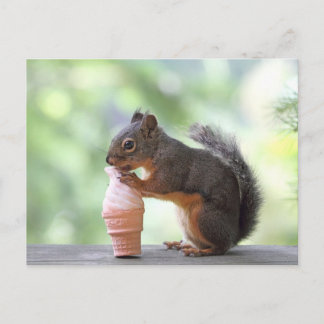 Squirrel Eating an Ice Cream Cone Vykort