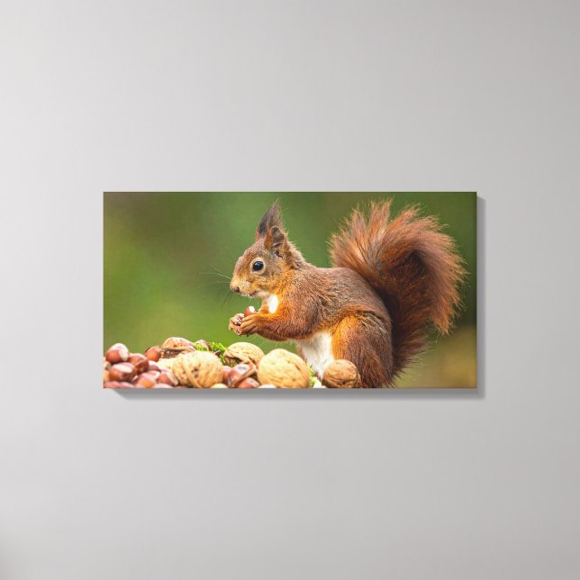 squirrel eating nut canvastryck (Framsida)