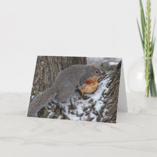 Squirrel Eats a Winter Treat Kort