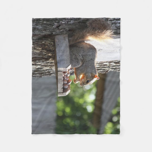 Squirrel Fleece Blanket (Framsidan)