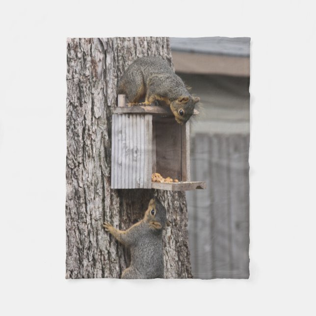 Squirrel Fleece Blanket (Framsidan)