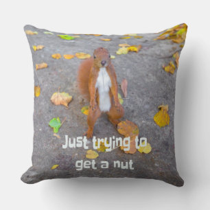Squirrel försöker bara få en nöt kudde