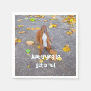 Squirrel försöker bara få en nöt pappersservett