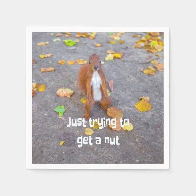Squirrel försöker bara få en nöt pappersservett (Framsidan)
