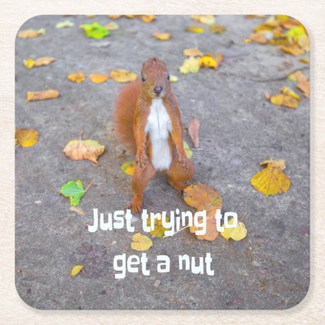 Squirrel försöker bara få en nöt underlägg papper kvadrat (Framsidan)