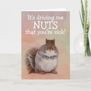 Squirrel Goes Nöt kommer bra  Kort