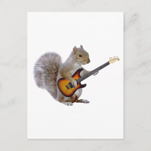 Squirrel Guitar Vykort