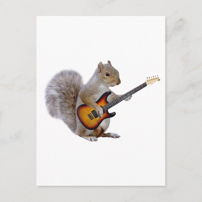 Squirrel Guitar Vykort (Framsida)