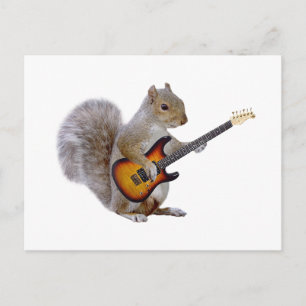 Squirrel Guitar Vykort