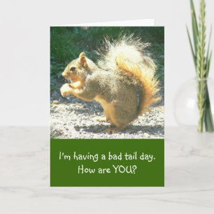 SQUIRREL-/HAVINGDÅLIGASVANEN DAY/HUMOROUS/HOW ÄR KORT