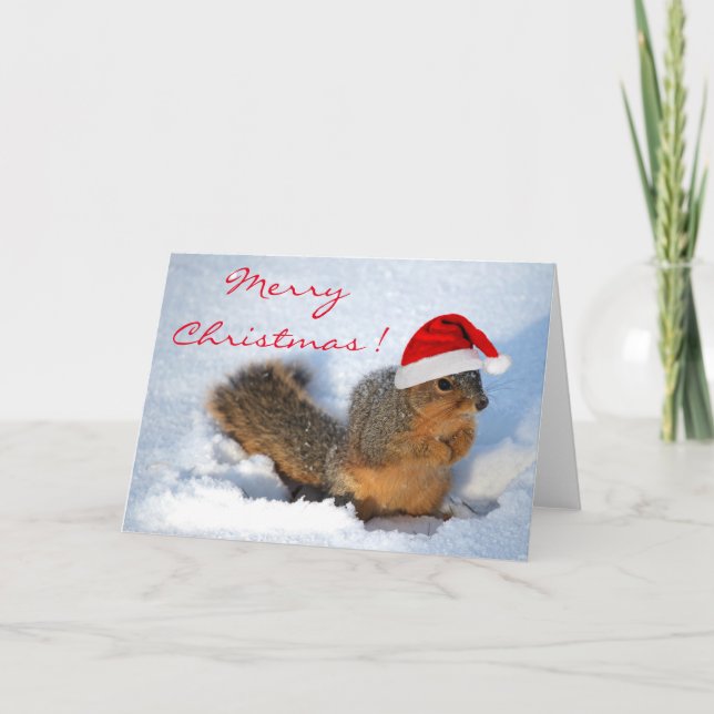Squirrel Helgdag Helgkort (Framsida)