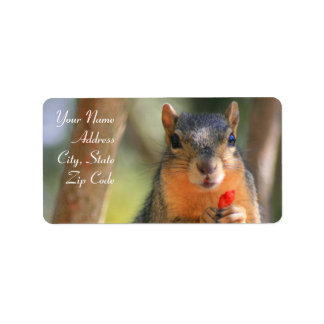 Squirrel Holding Cheese Puff Adressetiketter