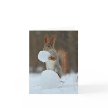 Squirrel Holding och Nibbling Snowball