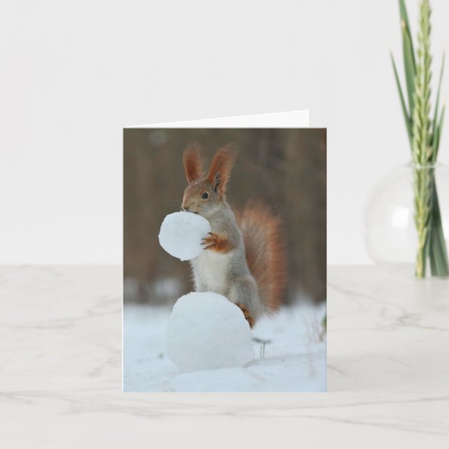 Squirrel Holding och Nibbling Snowball Helgkort (Framsida)