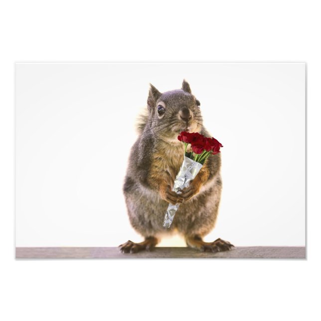 Squirrel Holding Röd ros Bouquet Fototryck (Framsidan)