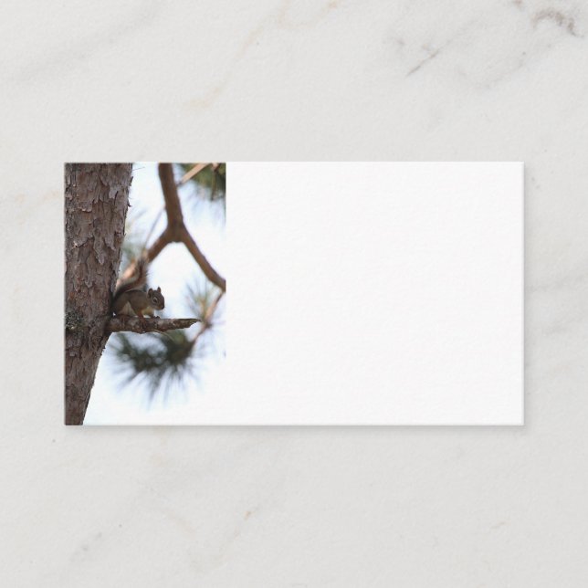 Squirrel in a Pine Tree Business Cards Visitkort (Framsida)