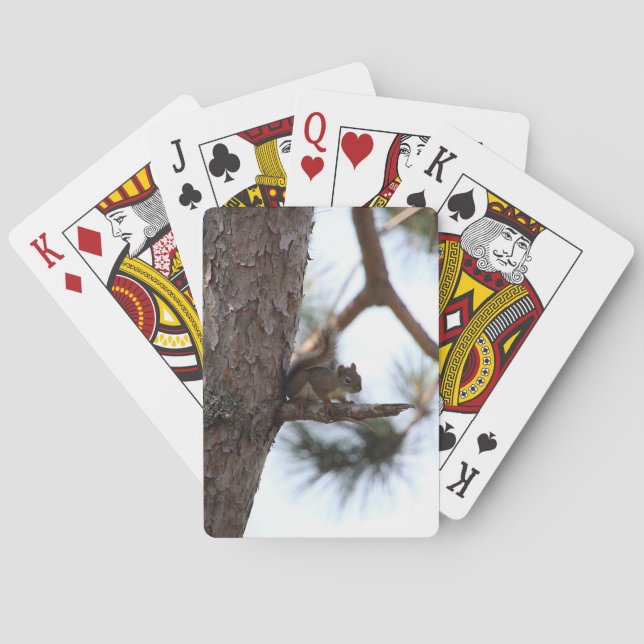 Squirrel in a Pine Tree Playing Cards Casinokort (Baksidan)