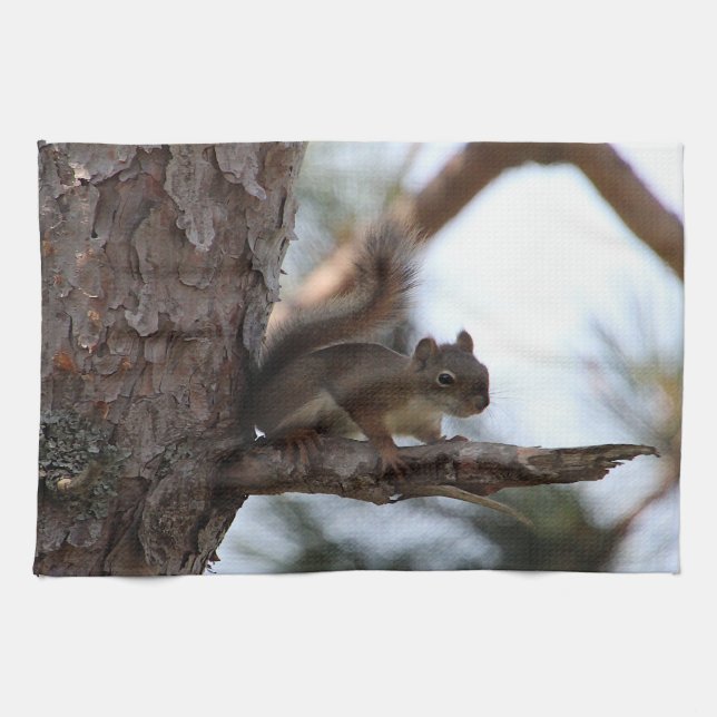 Squirrel in a Pine Tree Towel Kökshandduk (Horisontell)