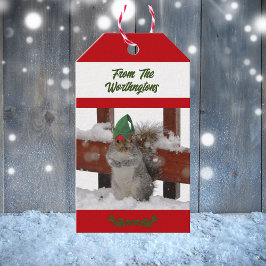 Squirrel in Green Hat Snowy Red and White  Presentetikett