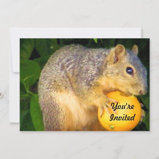 Squirrel_ Inbjudan (Framsida)