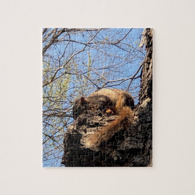 Squirrel Jigszle Puzzle Pussel (Vertikal)