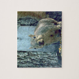 Squirrel Jigszle Puzzle Pussel