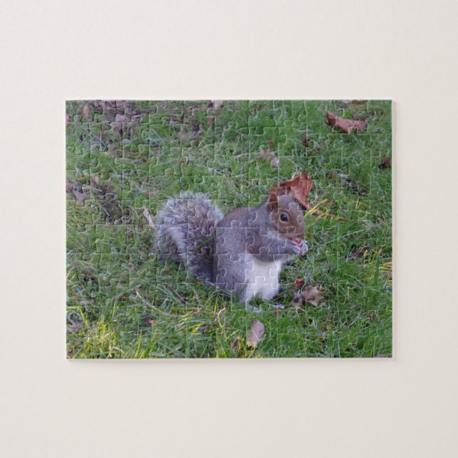 Squirrel Jigszle Puzzle Pussel (Horisontell)