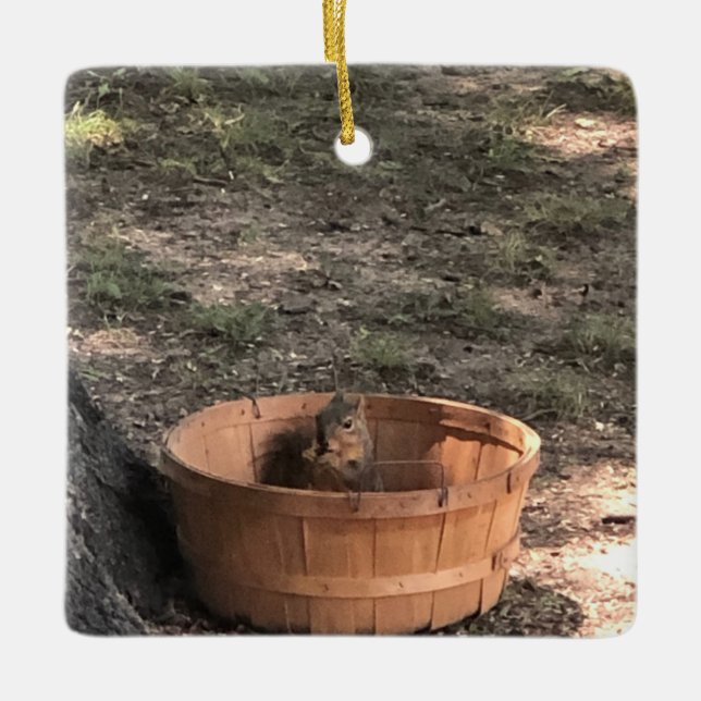 Squirrel  julgransprydnad keramik (Framsida)