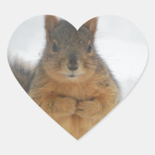 Squirrel Kärlek Hjärtformat Klistermärke