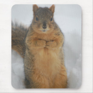 Squirrel Kärlek Musmatta