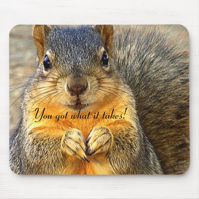 Squirrel Kärlek_ Musmatta (Framsidan)