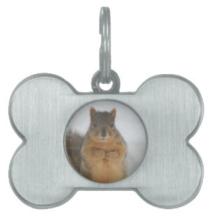 Squirrel Kärlek Namnbricka Husdjur