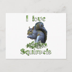 Squirrel Kärlek Vykort