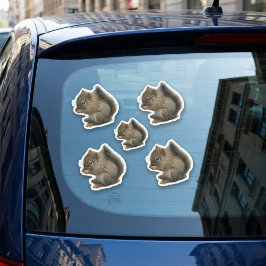 Squirrel Kitten Stickers Klistermärken