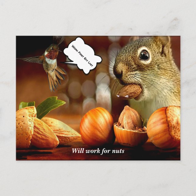 Squirrel kommer att arbeta för nöt Postcard Vykort (Framsida)