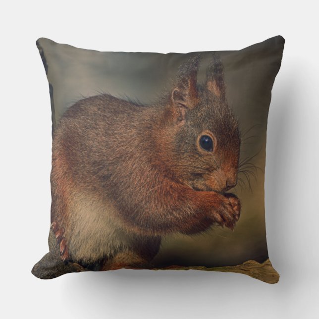 Squirrel Kudde (Framsida)