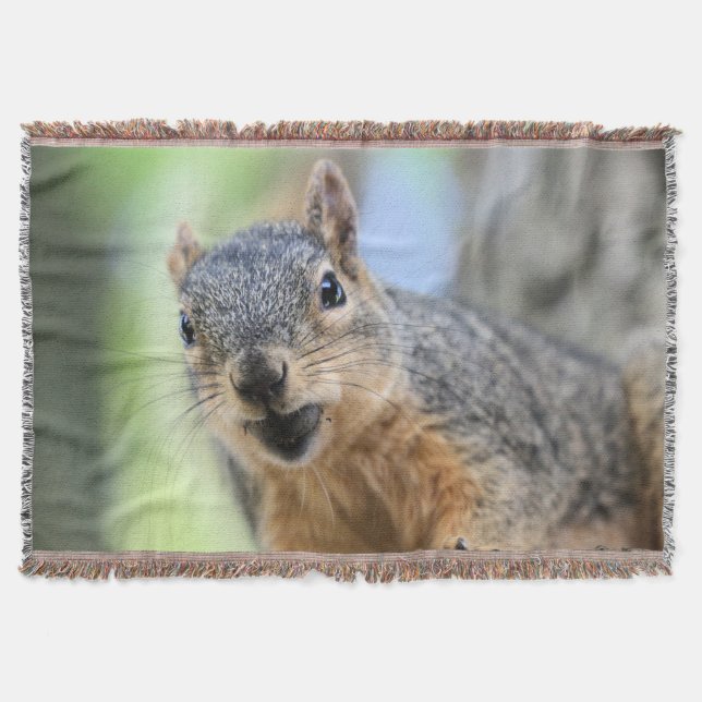 Squirrel magnet mysfilt (Framsidan)