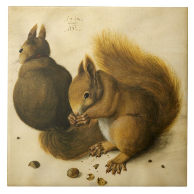 SQUIRREL MED NÖT av Albrecht Durer Kakelplatta (Framsidan)