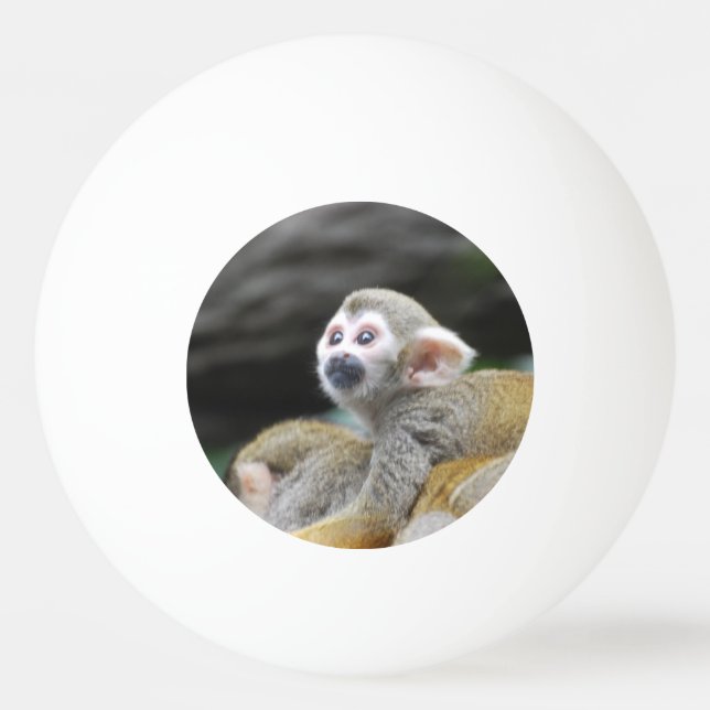 squirrel-monkey-39.jpg pingisboll (Framsidan)