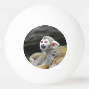 squirrel-monkey-39.jpg pingisboll