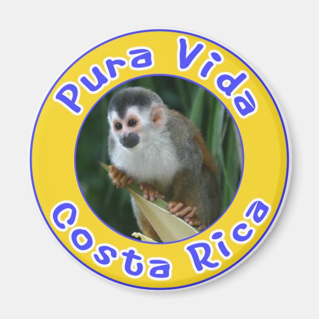 Squirrel Monkey, Pura Vida, Costa Rica Magnet (Framsidan)