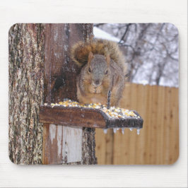 Squirrel Mousepad Musmatta
