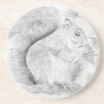 Squirrel Nibbling a Snack Underlägg<br><div class="desc">Squirrel Nibbling a snack</div>