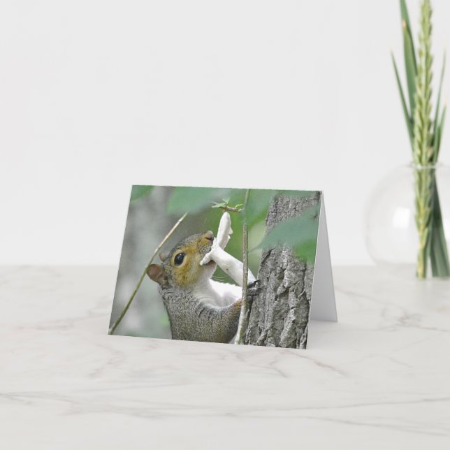 Squirrel Notecard Kort (Framsida)