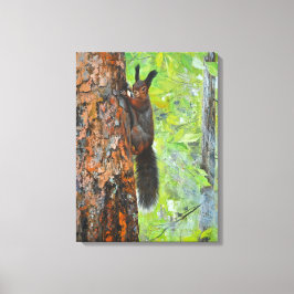 Squirrel on Pine Tree – Realistic Oil Painting Canvastryck