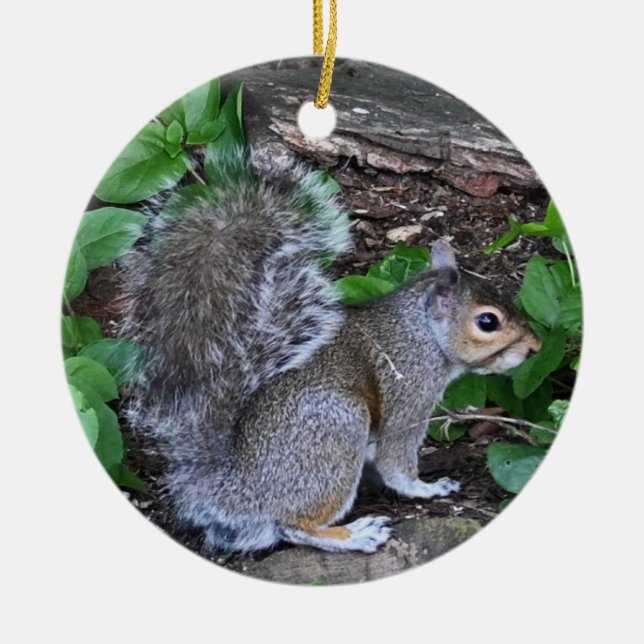 Squirrel Ornament (Framsidan)