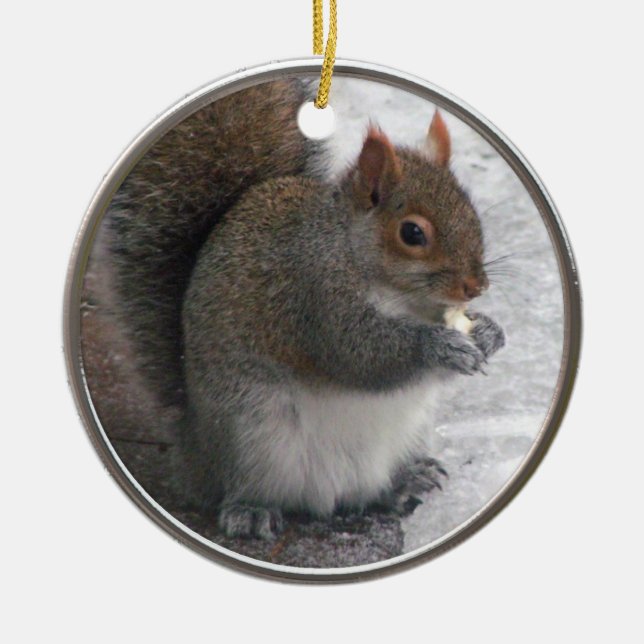 Squirrel Ornament (Framsidan)