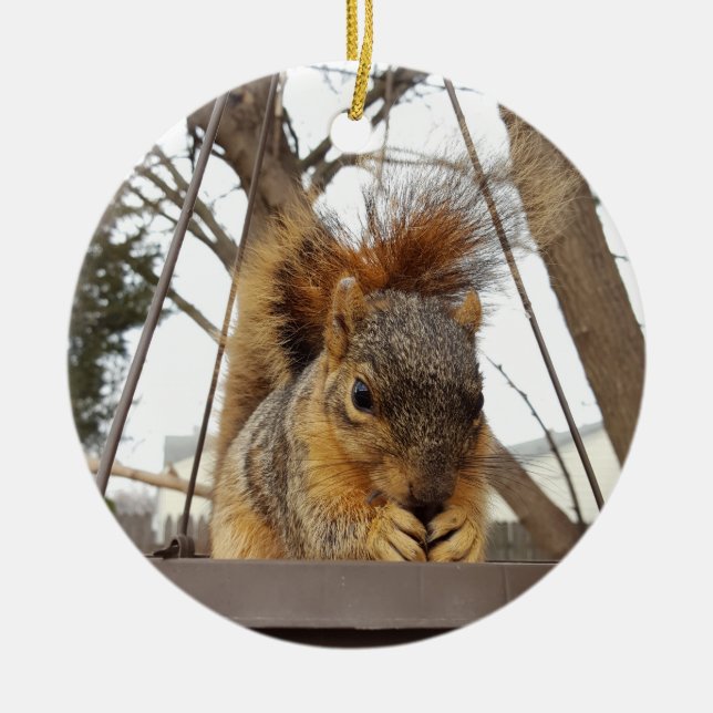 Squirrel Ornament (Framsidan)